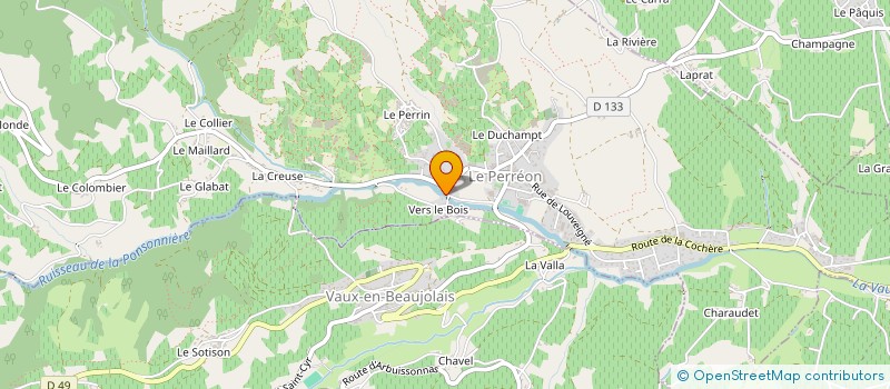 localisation de l'entreprise MADAME PATRICIA PEYRAUD à SAINT-ETIENNE-LA-VARENNE