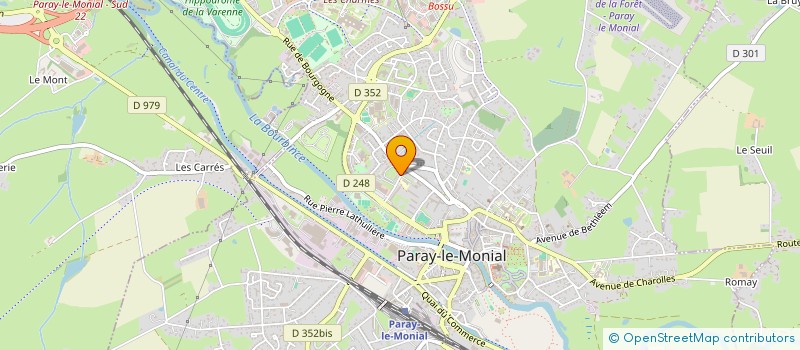 localisation de l'entreprise MADAME PATRICIA PILLONETTO  PARAY-LE-MONIAL