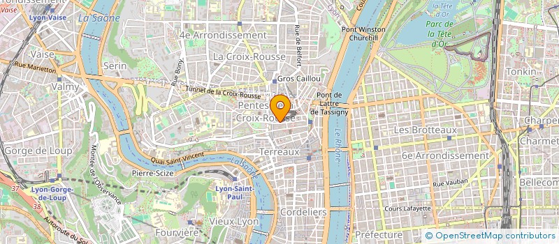 localisation de l'entreprise MADAME PATRICIA RIVOIRARD à LYON