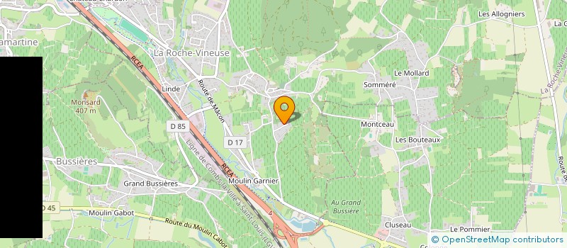 localisation de l'entreprise MADAME PATRICIA ROLLET  LA ROCHE-VINEUSE