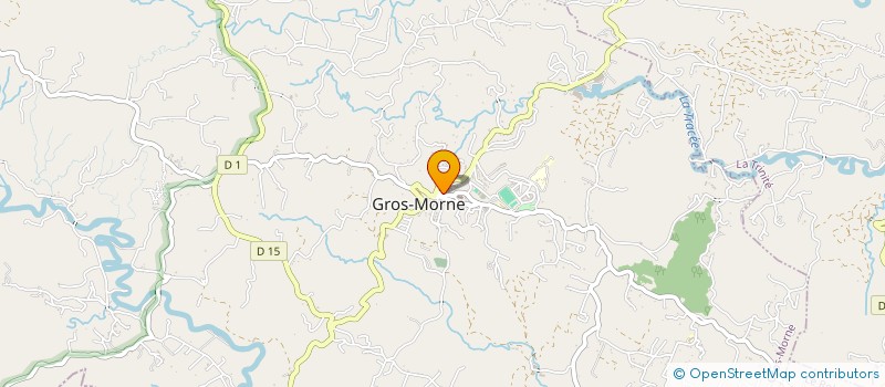 localisation de l'entreprise MADAME PATRICIA SAID  GROS-MORNE