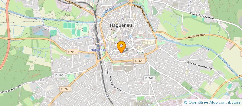 localisation de l'entreprise MADAME PATRICIA STEINMETZ-TRINKAUS à HAGUENAU