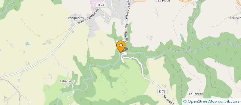 localisation de l'entreprise MADAME PATRICIA TENZA  VILLEFRANCHE-D'ALBIGEOIS