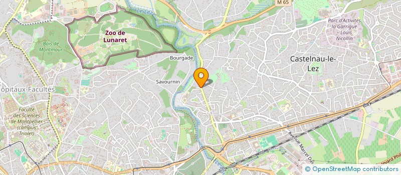 localisation de l'entreprise MADAME PATRICIA UGO à CASTELNAU-LE-LEZ