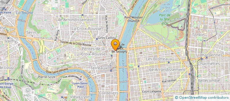 localisation de l'entreprise MADAME PATRICIA VISCARDI  LYON