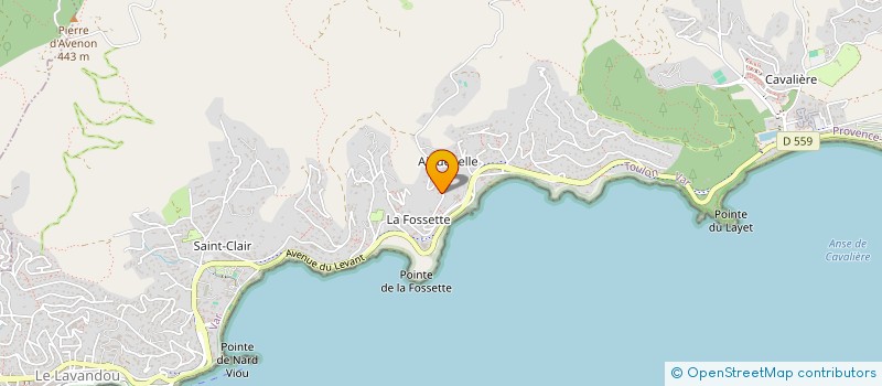 localisation de l'entreprise MADAME PAUL FERRAND à LE LAVANDOU