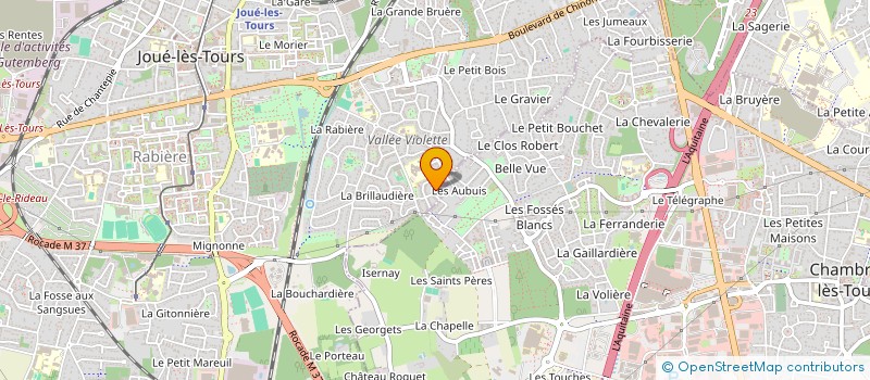 localisation de l'entreprise MADAME PAUL-SONIA NEBRE  JOUE-LES-TOURS