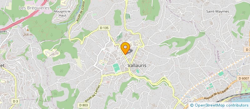 localisation de l'entreprise MADAME PAULA MIHAILOV  VALLAURIS