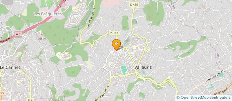 localisation de l'entreprise MADAME PAULE COSTANTINI à VALLAURIS