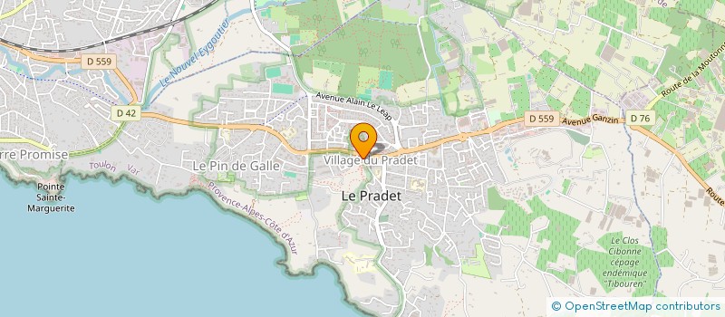 localisation de l'entreprise MADAME PAULE KRENTZ  LE PRADET