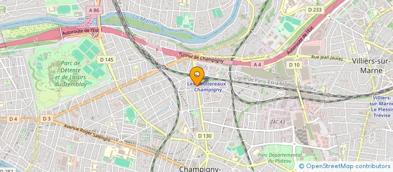 localisation de l'entreprise MADAME PAULE ORPHELIA SETH MOUSSAVOU MANGPAULE ORPHELIA SETH MOUSSAVOU MANGAMBI à CHAMPIGNY-SUR-MARNE