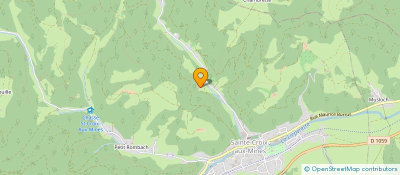 localisation de l'entreprise MADAME PAULETTE GRANDGEORGE  SAINTE-CROIX-AUX-MINES