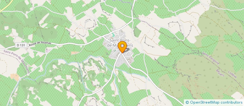 localisation de l'entreprise MADAME PAULETTE LEIGNADIER  SAINT-PONS-DE-MAUCHIENS