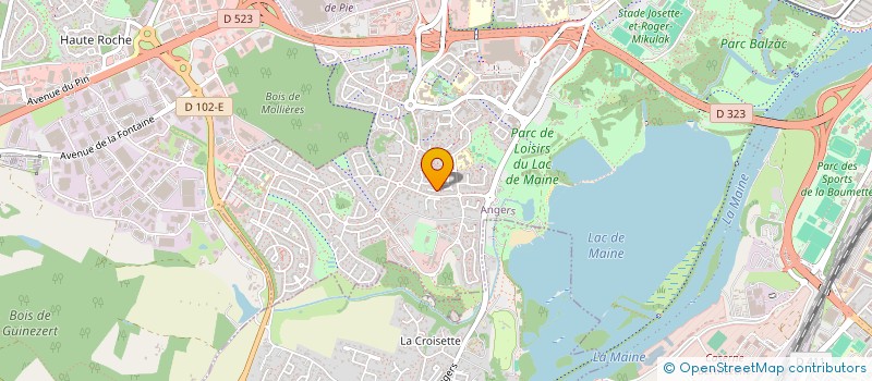 localisation de l'entreprise MADAME PAULINA CAICEO BRAVO à ANGERS