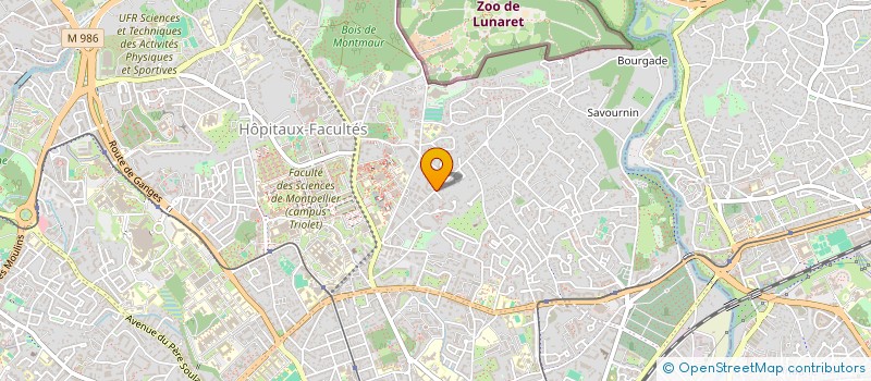 localisation de l'entreprise MADAME PAULINE BAGLIONI à MONTPELLIER