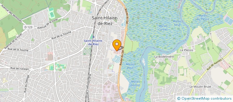 localisation de l'entreprise MADAME PAULINE CHERAMY  SAINT-HILAIRE-DE-RIEZ