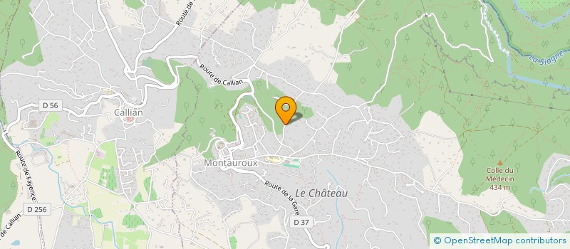 localisation de l'entreprise MADAME PAULINE DAVID  MONTAUROUX