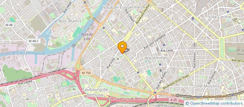 localisation de l'entreprise MADAME PAULINE DESSILLONS  LILLE