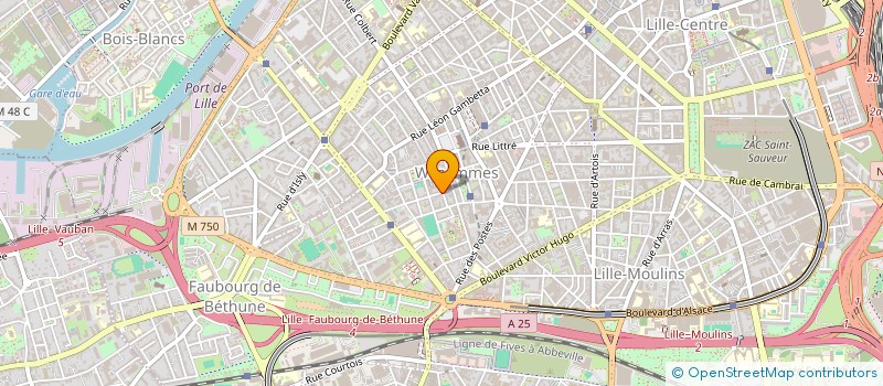 localisation de l'entreprise MADAME PAULINE GUIFFARD à LILLE
