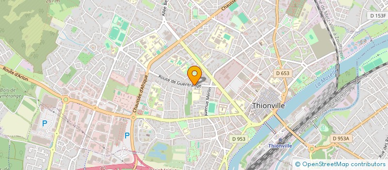 localisation de l'entreprise MADAME PAULINE REGNERI  THIONVILLE