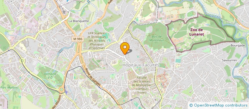 localisation de l'entreprise MADAME PAULINE SANCHEZ à MONTPELLIER