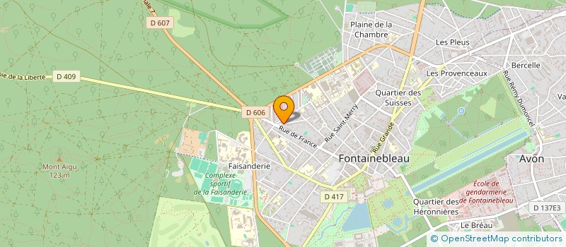 localisation de l'entreprise MADAME PAULINE VITTE  FONTAINEBLEAU