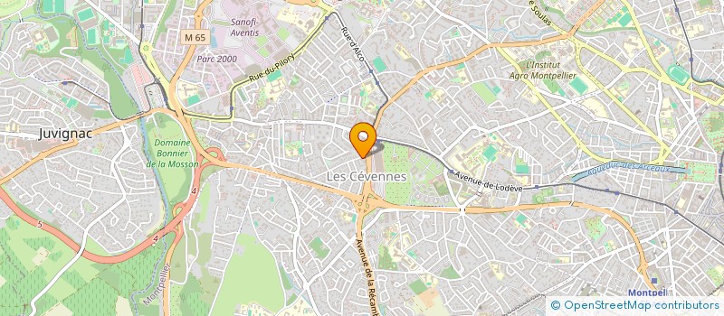 localisation de l'entreprise MADAME PEGDWENDE ROUAMBA à MONTPELLIER