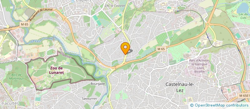 localisation de l'entreprise MADAME PEGGY BERARD  CASTELNAU-LE-LEZ