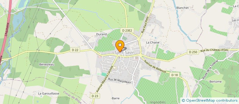 localisation de l'entreprise MADAME PEGGY DURAND  SAINT-SAVIN