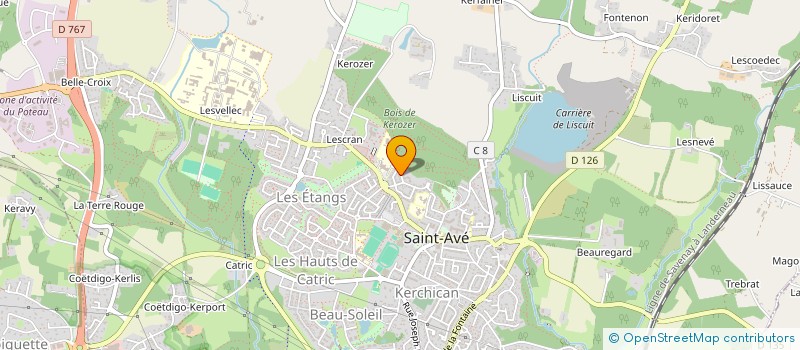 localisation de l'entreprise MADAME PEGGY ROQUAIN  SAINT-AVE