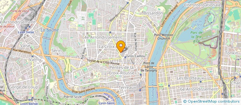 localisation de l'entreprise MADAME PENELOPE SCHULMANN  LYON