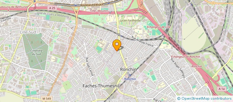 localisation de l'entreprise MADAME PERRINE D'HULST  RONCHIN