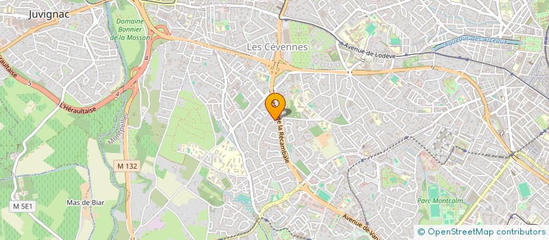 localisation de l'entreprise MADAME PERRINE LANG à MONTPELLIER
