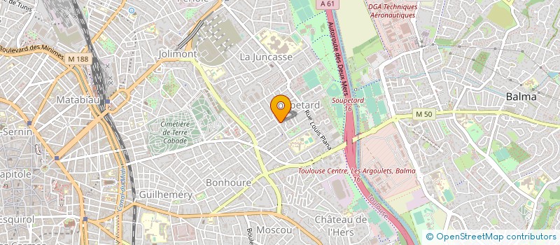 localisation de l'entreprise MADAME PETRA LECHNER à TOULOUSE