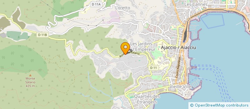 localisation de l'entreprise MADAME PETRA ZIEGROSSEROVA à AJACCIO