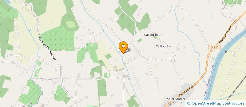 localisation de l'entreprise MADAME PETRANGELI CONSUELO  SAINT-SYLVESTRE-SUR-LOT