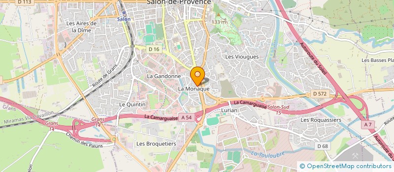 localisation de l'entreprise MADAME PETRICA-PETRONELA ILIE  SALON-DE-PROVENCE