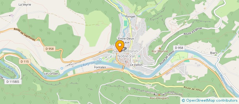 localisation de l'entreprise MADAME PETRONELA CONDURACHE à SAINT-ANTONIN-NOBLE-VAL