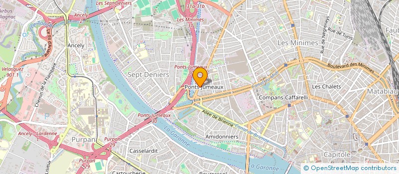 localisation de l'entreprise MADAME PETRUTA CIURAR  TOULOUSE