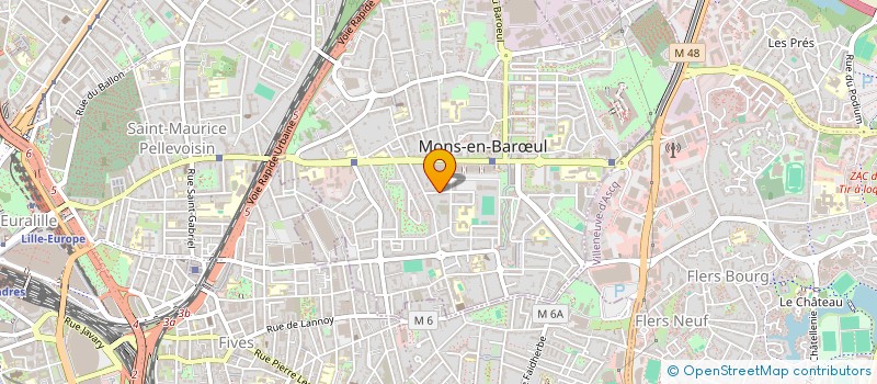 localisation de l'entreprise MADAME PHILOMENE DIDDEN  MONS-EN-BARUL