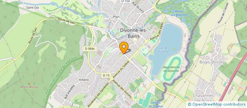 localisation de l'entreprise MADAME PIA FAST  DIVONNE-LES-BAINS
