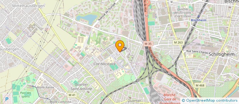 localisation de l'entreprise MADAME PIATIMAT BELDOUROVA à STRASBOURG