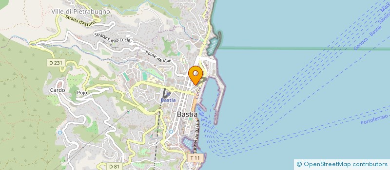 localisation de l'entreprise MADAME PIERRETTE CESARI à BASTIA