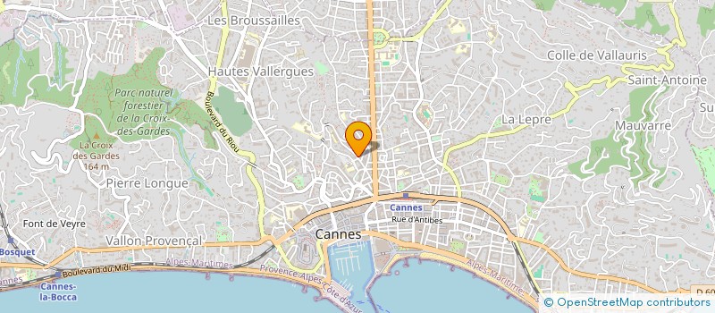 localisation de l'entreprise MADAME PIERRETTE DREVARD à CANNES