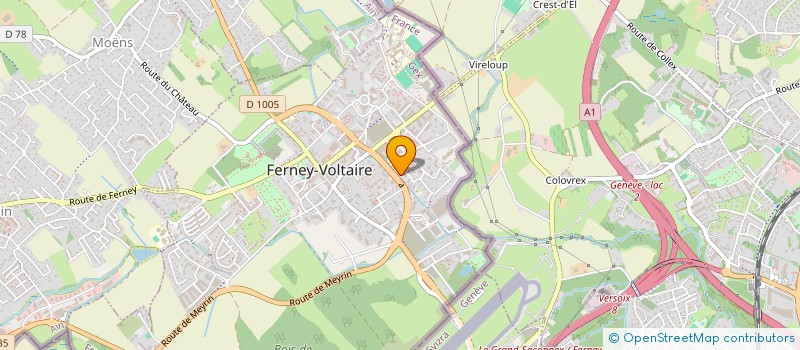 localisation de l'entreprise MADAME PIETRA RIBEIRO XAVIER à FERNEY-VOLTAIRE