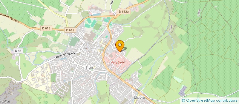 localisation de l'entreprise MADAME PILAR TORREJON  THUIR