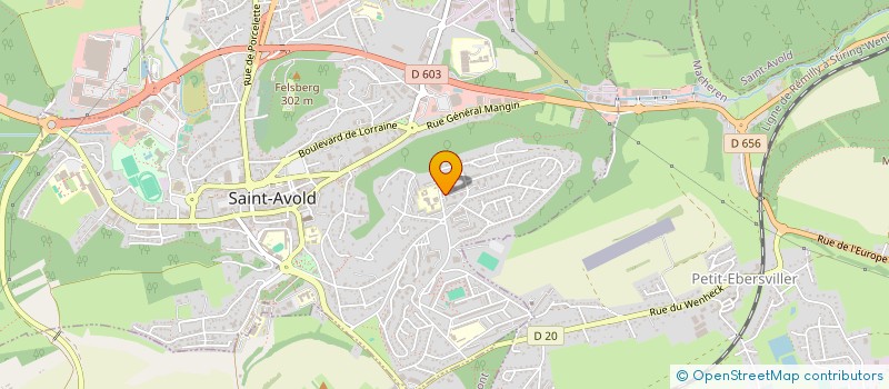 localisation de l'entreprise MADAME PINAR KUCUK  SAINT-AVOLD