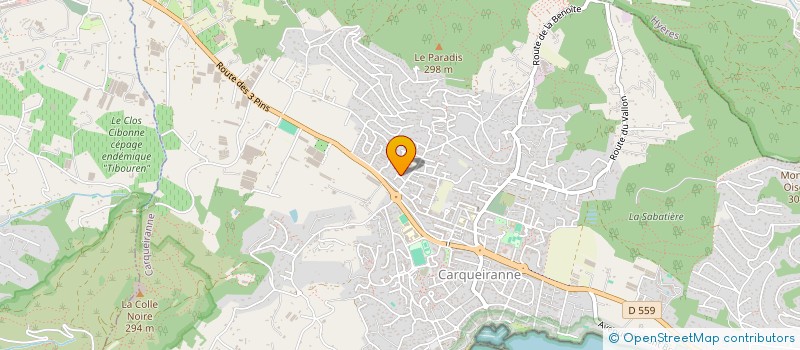 localisation de l'entreprise MADAME PINATJIRAROM SARIBUT à CARQUEIRANNE