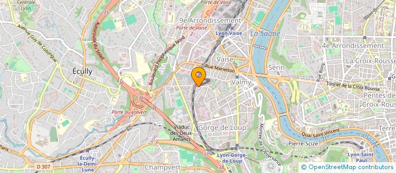 localisation de l'entreprise MADAME PRINCE OLUMESE  LYON