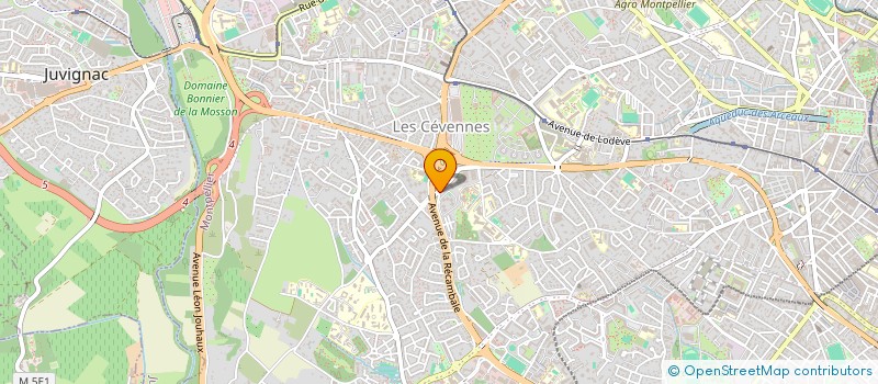 localisation de l'entreprise MADAME PRISCA ILAME KOMBILE à MONTPELLIER